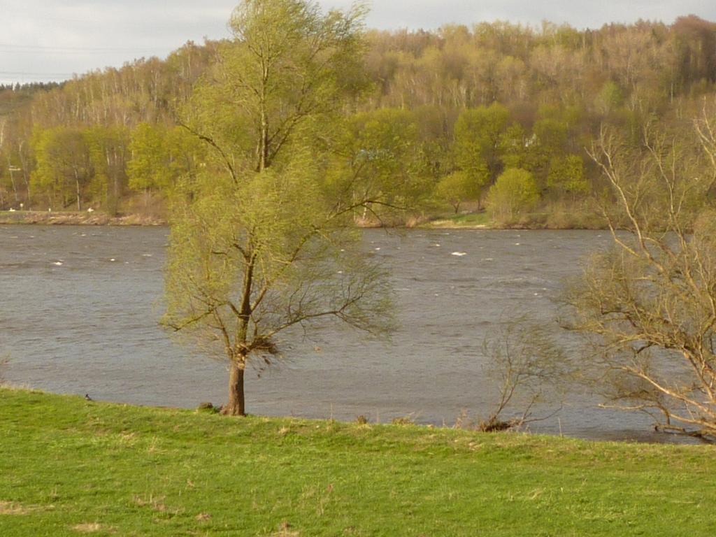 Elbe-Ferien 2 Apartment Tespe Cameră foto